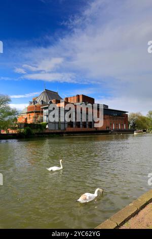 Vergnügungsboot vorbei am New Royal Shakespeare Theatre, Fluss Avon, Stadt Stratford-upon-Avon, Warwickshire, England Stockfoto