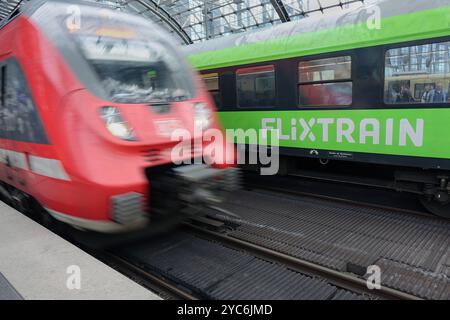 Züge am Berliner Hauptbahnhof Züge am Berliner Hauptbahnhof, 19.10.2024, Tiergarten, Berlin, Neben einem Zug von Flixtrain fährt ein Regionalzug der Deutschen Bahn in den Berliner Hauptbahnhof ein. *** Züge am Berliner Hauptbahnhof Züge am Berliner Hauptbahnhof, 19 10 2024, Tiergarten, Berlin, Ein Regionalzug der Deutschen Bahn fährt neben einem Flixtrain-Zug am Berliner Hauptbahnhof an Stockfoto