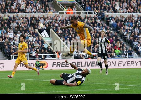 Newcastle, Großbritannien. Oktober 2024. Brighton & Hove Albion Verteidiger Igor (3) und Newcastle United Stürmer Joelinton (7) während des Spiels Newcastle United FC gegen Brighton & Hove Albion FC English Premier League in St. James' Park, Newcastle, England, Großbritannien am 19. Oktober 2024 Credit: Every Second Media/Alamy Live News Stockfoto