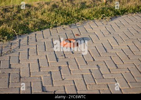 Ameisenhügel auf Betonboden mit symmetrischen Steinen Stockfoto