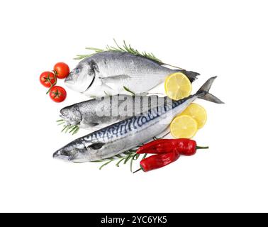 Meeresfrüchte. Verschiedene Arten von frischem Fisch mit Gewürzen und Tomaten isoliert auf weiß, Blick von oben Stockfoto