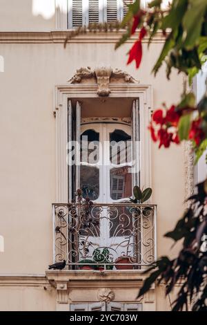 Ein wunderschönes Jugendstilfenster in Toulon, Südfrankreich Stockfoto