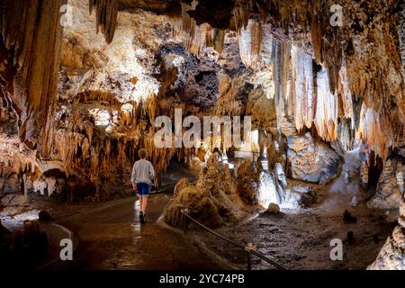 LURAY, Virginia, USA – das ausgedehnte Höhlensystem der Luray Caverns zeigt verschiedene Kalksteinformationen, die über Millionen von Jahren entstanden sind. Diese 1878 entdeckten Höhlen weisen dramatische Säulen, Stalaktiten, Stalagmiten, und Flowstone in ihren verbundenen Kammern. Die Höhlen stellen eines der meistbesuchten und gut erhaltenen Höhlensysteme im Osten der Vereinigten Staaten dar. Stockfoto