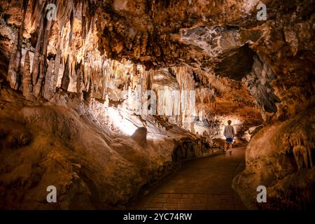 LURAY, Virginia, USA – das ausgedehnte Höhlensystem der Luray Caverns zeigt verschiedene Kalksteinformationen, die über Millionen von Jahren entstanden sind. Diese 1878 entdeckten Höhlen weisen dramatische Säulen, Stalaktiten, Stalagmiten, und Flowstone in ihren verbundenen Kammern. Die Höhlen stellen eines der meistbesuchten und gut erhaltenen Höhlensysteme im Osten der Vereinigten Staaten dar. Stockfoto