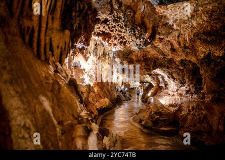 LURAY, Virginia, USA – das ausgedehnte Höhlensystem der Luray Caverns zeigt verschiedene Kalksteinformationen, die über Millionen von Jahren entstanden sind. Diese 1878 entdeckten Höhlen weisen dramatische Säulen, Stalaktiten, Stalagmiten, und Flowstone in ihren verbundenen Kammern. Die Höhlen stellen eines der meistbesuchten und gut erhaltenen Höhlensysteme im Osten der Vereinigten Staaten dar. Stockfoto