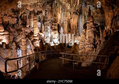 LURAY, Virginia, USA – die Giant's Hall, eine der größten Kammern in den Luray Caverns, zeigt dramatische Kalksteinformationen. Dieser riesige unterirdische Raum verfügt über hoch aufragende Säulen, Stalaktiten und Stalagmiten, die über Millionen von Jahren gebildet wurden. Die Kammer stellt eine der beeindruckendsten natürlichen Formationen in Virginias Höhlensystemen dar. Stockfoto