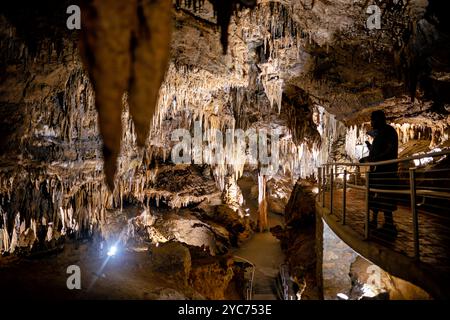 LURAY, Virginia, USA – das ausgedehnte Höhlensystem der Luray Caverns zeigt verschiedene Kalksteinformationen, die über Millionen von Jahren entstanden sind. Diese 1878 entdeckten Höhlen weisen dramatische Säulen, Stalaktiten, Stalagmiten, und Flowstone in ihren verbundenen Kammern. Die Höhlen stellen eines der meistbesuchten und gut erhaltenen Höhlensysteme im Osten der Vereinigten Staaten dar. Stockfoto