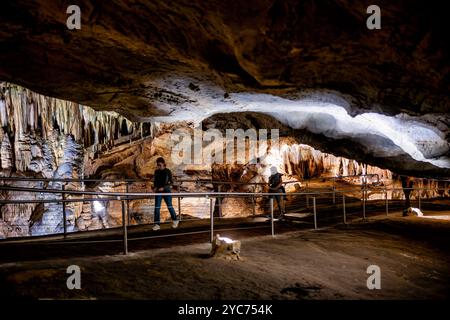 LURAY, Virginia, USA – das ausgedehnte Höhlensystem der Luray Caverns zeigt verschiedene Kalksteinformationen, die über Millionen von Jahren entstanden sind. Diese 1878 entdeckten Höhlen weisen dramatische Säulen, Stalaktiten, Stalagmiten, und Flowstone in ihren verbundenen Kammern. Die Höhlen stellen eines der meistbesuchten und gut erhaltenen Höhlensysteme im Osten der Vereinigten Staaten dar. Stockfoto