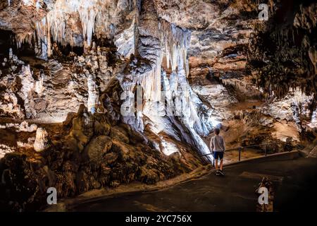 LURAY, Virginia, USA – das ausgedehnte Höhlensystem der Luray Caverns zeigt verschiedene Kalksteinformationen, die über Millionen von Jahren entstanden sind. Diese 1878 entdeckten Höhlen weisen dramatische Säulen, Stalaktiten, Stalagmiten, und Flowstone in ihren verbundenen Kammern. Die Höhlen stellen eines der meistbesuchten und gut erhaltenen Höhlensysteme im Osten der Vereinigten Staaten dar. Stockfoto