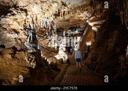 LURAY, Virginia, USA – das ausgedehnte Höhlensystem der Luray Caverns zeigt verschiedene Kalksteinformationen, die über Millionen von Jahren entstanden sind. Diese 1878 entdeckten Höhlen weisen dramatische Säulen, Stalaktiten, Stalagmiten, und Flowstone in ihren verbundenen Kammern. Die Höhlen stellen eines der meistbesuchten und gut erhaltenen Höhlensysteme im Osten der Vereinigten Staaten dar. Stockfoto