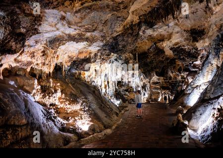 LURAY, Virginia, USA – das ausgedehnte Höhlensystem der Luray Caverns zeigt verschiedene Kalksteinformationen, die über Millionen von Jahren entstanden sind. Diese 1878 entdeckten Höhlen weisen dramatische Säulen, Stalaktiten, Stalagmiten, und Flowstone in ihren verbundenen Kammern. Die Höhlen stellen eines der meistbesuchten und gut erhaltenen Höhlensysteme im Osten der Vereinigten Staaten dar. Stockfoto