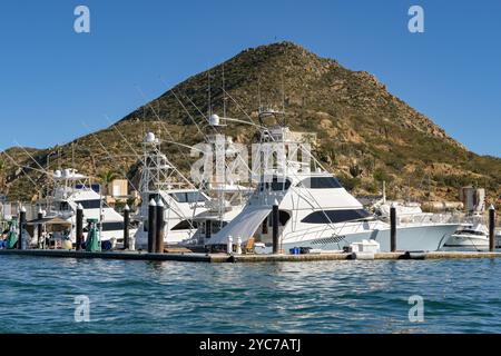 Cabo San Lucas, Mexiko - 14. Januar 2024: Luxuriöse Fischerboote im Hafen von Cabo San Lucas Stockfoto