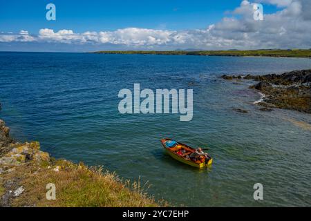 Ein Fischerboot fährt von der Halbinsel Porth Colmon Llyn in Wales zum Meer Stockfoto