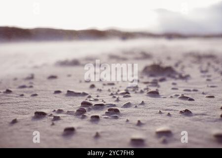 Verstreute Kieselsteine an einem Sandstrand während der Dämmerung mit weichem, diffusem Licht, das die Küste beleuchtet. Hochwertige photoPebbles und kleine Steine sind sc Stockfoto