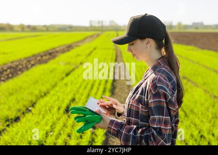 Eine junge Farmerin mit einer Tablette in der Hand untersucht das grüne Feld. Moderne Technologien im Landwirtschaftsmanagement und Agrarwirtschaftskonzept Stockfoto