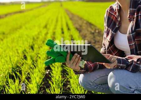 Intelligente Bauernfrau Agronomin kontrolliert jungen Keimen auf dem Feld mit Tablette. Intelligente Landwirtschaft und digitale Landwirtschaft, moderne Getreidetechnologien in Stockfoto