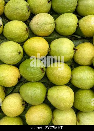 Frische Guavas zum Verkauf auf einem Straßenmarkt in Brasilien. Stockfoto