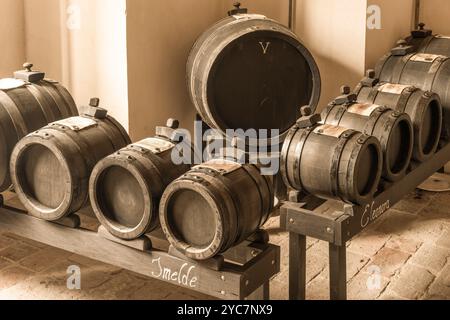 Gefängnisturm, Essigfabrik, Castelvetro di Modena, Modena, Emilia-Romagna, Italien Stockfoto