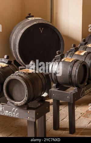 Gefängnisturm, Essigfabrik, Castelvetro di Modena, Modena, Emilia-Romagna, Italien Stockfoto