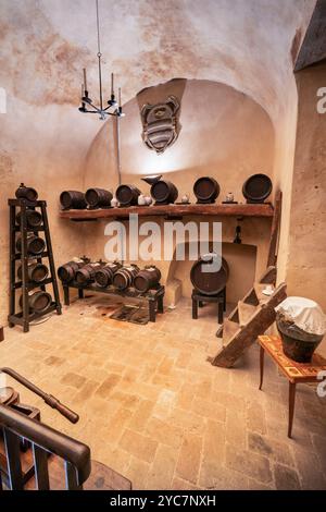 Gefängnisturm, Essigfabrik, Castelvetro di Modena, Modena, Emilia-Romagna, Italien Stockfoto