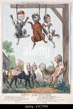 Ein lustiger humorvoller Cartoondruck farbiger Gravur der Effekte der Hundesteuer, Aquarellätzung auf Papier menschliche Karikaturen aus der georgischen Ära des 18. Jahrhunderts, geschaffen von Isaac Cruikshank antiken Vintage-Kunstwerken Stockfoto