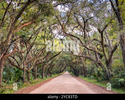 Edisto Island Botany Bay Preserve Plantation, Edisto Island, South Carolina, USA Stockfoto