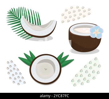 Bunte Kokosnuss-Set in verschiedenen Variationen, Nussstück mit Blättern, Hälfte Kokosnuss, Vektorillustrationen Stock Vektor