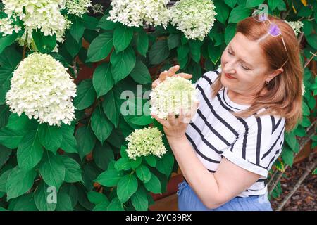 Schöne reife Frau mit einem Busch von Hortensie in voller Blüte Stockfoto