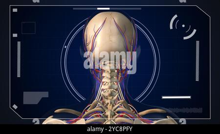 Digitales HUD-Element mit menschlicher Anatomie Stockfoto