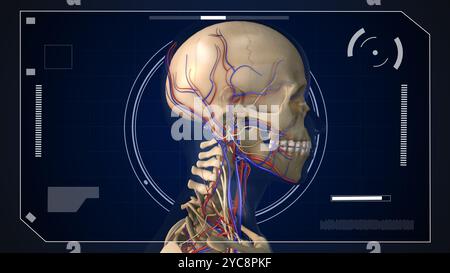 Digitales HUD-Element mit menschlicher Anatomie Stockfoto