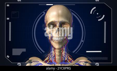 Digitales HUD-Element mit menschlicher Anatomie Stockfoto