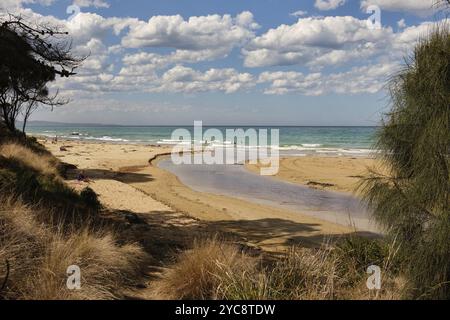 Strandbesucher genießen die Brandung, das erfrischende Wasser, die Sonne und den Sand an der Mündung des Erskine River, Lorne, Victoria, Australien, Ozeanien Stockfoto