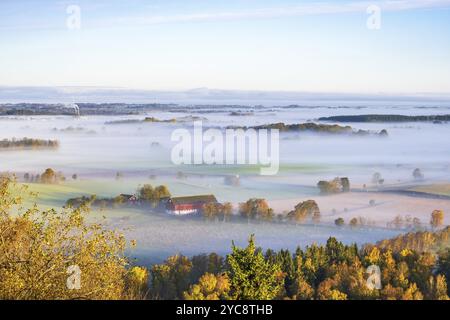 Nebliges Morgenlicht auf dem Land im Herbst Stockfoto