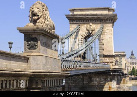 Einer der vier Schutzlöwen der Szechenyi Kettenbrücke in Budapest, Ungarn, Europa Stockfoto