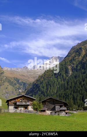 Flittner Alm, Innervals, Vals, Valser Tal, Natura 2000 Valser Tal, Wipptal, Tirol, Österreich, Europa Stockfoto