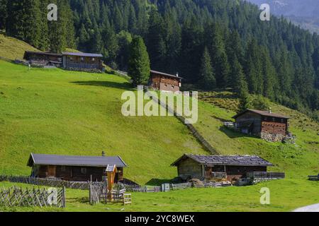 Helgas Alm, Valser Tal, Natura 2000 Valser Tal, Wipptal, Tirol, Österreich, Europa Stockfoto