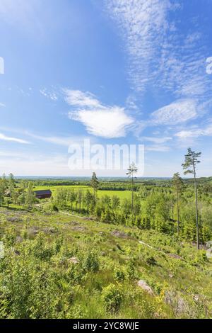 Blick auf einen Kahlschnitt und einen Bauernhof am Wald Stockfoto