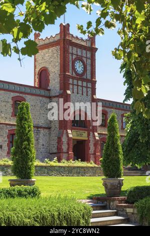 Die Yalumba Winery im Barossa Valley ist Australiens ältestes familiengeführtes Weingut heute, Angaston, SA, Australien, Ozeanien Stockfoto