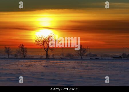 Sonnenaufgang im Winter Landschaft mit Bäumen und Windkraftanlagen in Silhouette Stockfoto