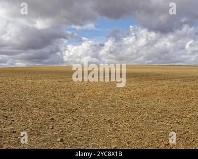 Ein blauer Himmel zwischen schweren dunklen Wolken über den Herbstfeldern, Calzadilla de los Hermanillos, Kastilien und Leon, Spanien, Europa Stockfoto