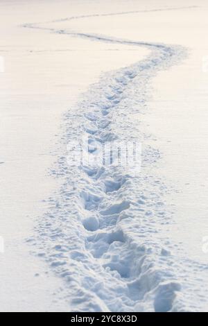 Wicklung footprints in tiefem Schnee Stockfoto