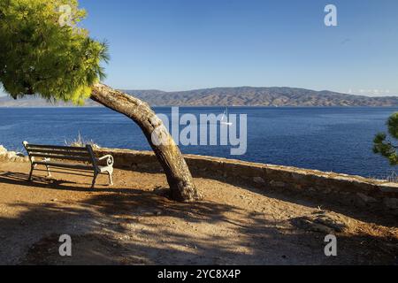 Bank zum Beobachten des Meeres und der Schiffe Segeln und Festland Griechenland an schönen sonnigen Sommertagen im Schatten der Kiefer, Baum auf der erstaunlichen Insel Hydra Stockfoto