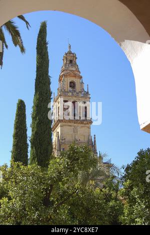 Der barocke Glockenturm des Minarettturms (Torre del Alminar) fotografiert von der Mezquita, Cordoba, Andalusien, Spanien, Europa Stockfoto