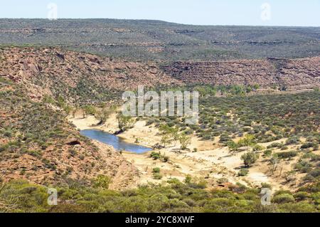 Kleine Oase in der Murchison Gorge, Kalbarri, WA, Australien, Ozeanien Stockfoto