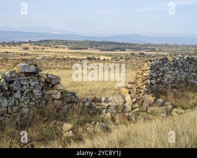 Eingestürzte und zerbröckelnde Trockenmauern am Ende des Dorfes, Santa Catalina de Somoza, Kastilien und Leon, Spanien, Europa Stockfoto