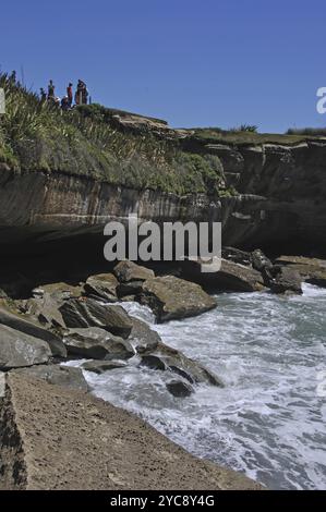 Wellen erodieren Kalkstein am Strand am Truman Track, Paparoa National Park, Westküste, Südinsel, Neuseeland, Ozeanien Stockfoto