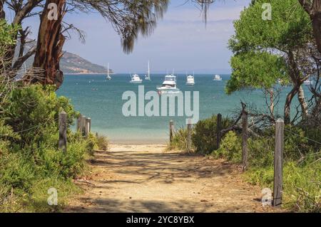 Sandiger Pfad zum wunderschönen Richardsons Beach im Visitors Centre des Freycinet National Park, Coles Bay, Tasmanien, Australien, Ozeanien Stockfoto