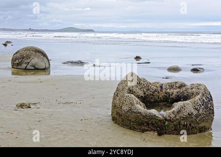 Moeraki Boulders sind große, kugelige Felsbrocken liegt am Koekohe Strand von Moeraki auf der Südinsel Neuseelands Stockfoto