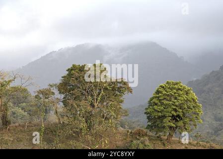 Wolken über dem Regenwald in Portobelo in Panama Stockfoto