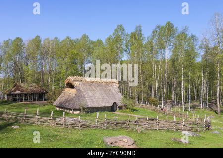 Bronzezeit Langhaus Wiederaufbau auf einer Wiese Stockfoto